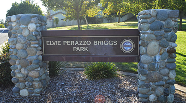 Elvie Perazzo Briggs Park