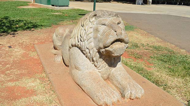 Folsom City Park Lion