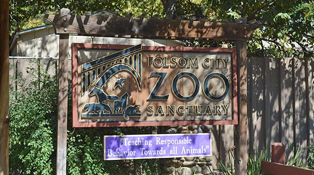Folsom City Zoo