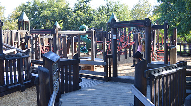 Large Play Structure
