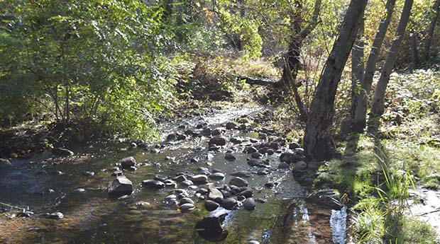 Hinkle Creek