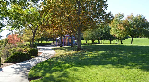 Levy Park
