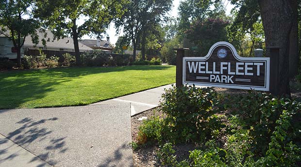 Wellfleet Mini Park