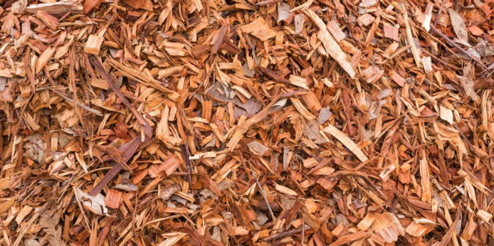Getty Images of orange wood chips and bark