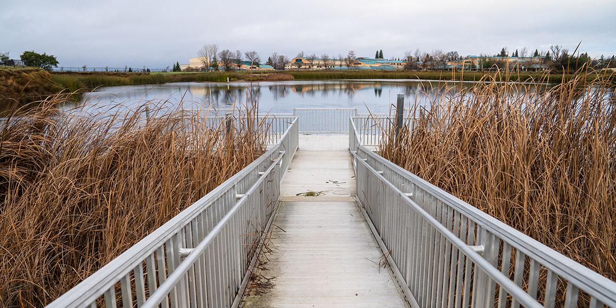 Willow Hill Reservoir Park with tall grass on either side, and a walkway leading to a platform overlooking the water