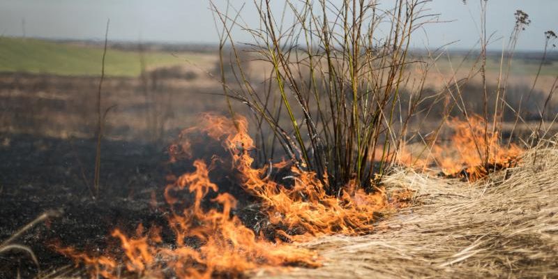 Stock image of a Wildfire burning an area of dry grass, with a large area of burnt grass in the background