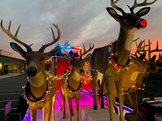 santa's sleigh close up picture of reindeer at night