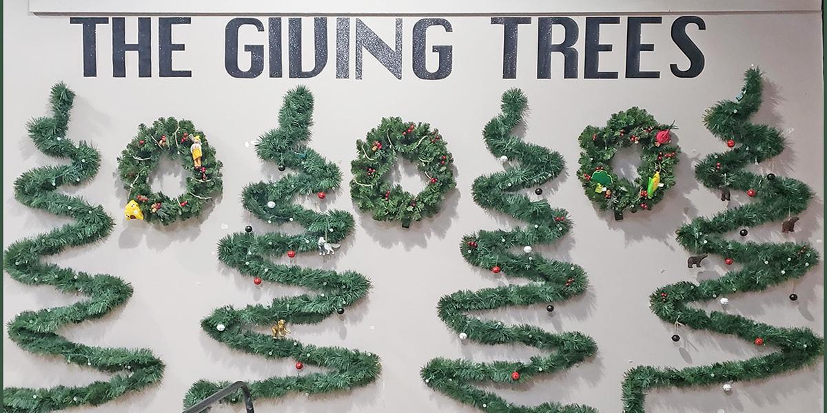 Zoo the Giving Trees decoration on a wall with four garland trees and three wreaths