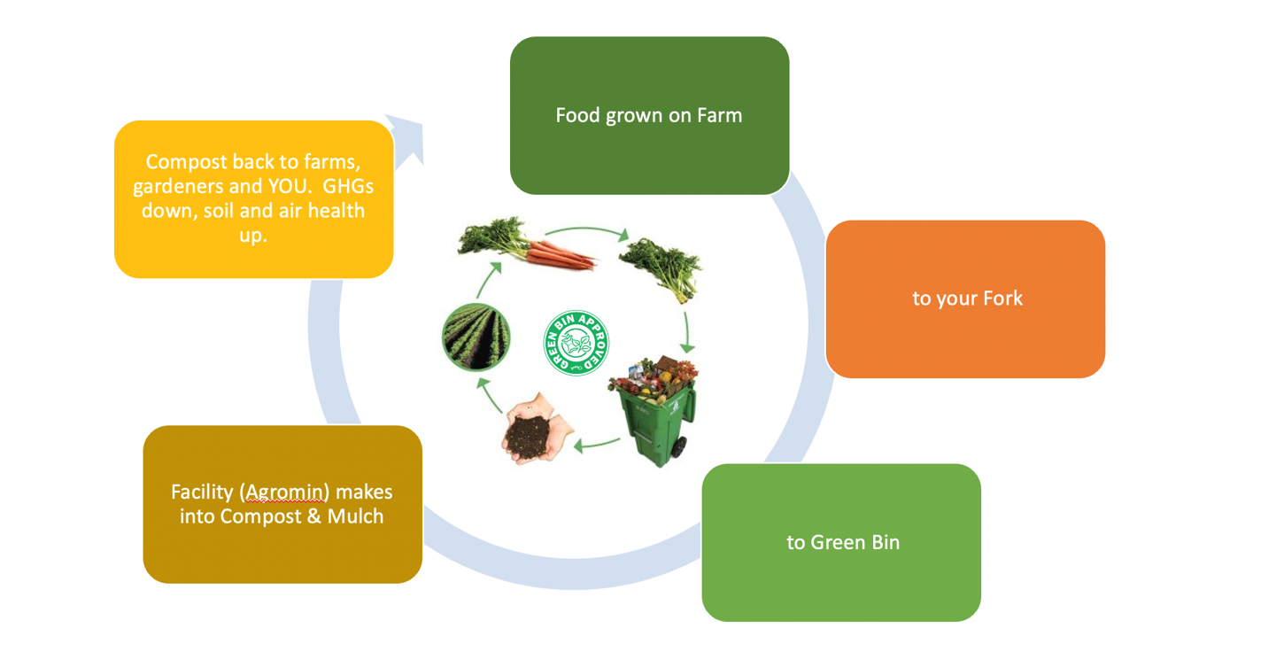 Organics life cycle graphic shows the life cycle of food around a circular arrow with photos of food beginning as rows of crops on a farm, then carrots, then the scraps from cutting the tops off the carrots, then a green bin full of food scrap, then a handful of compost, and a final arrow back to the rows of crops. The description is food grown on farm, to your fork, to green bin, facility Agromin makes into compost and mulch, compost back to farms, gardeners, and you. Green house gases down, soil and air health up. In the center of the circle is Folsom’s logo for the new Green Bin Approved organics recycling program.