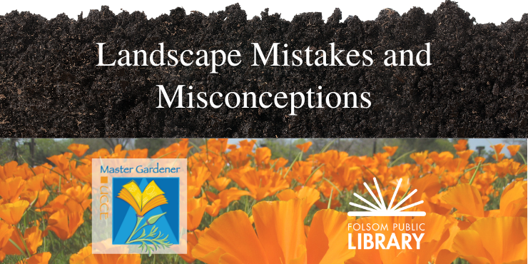 Landscape mistakes at the folsom library