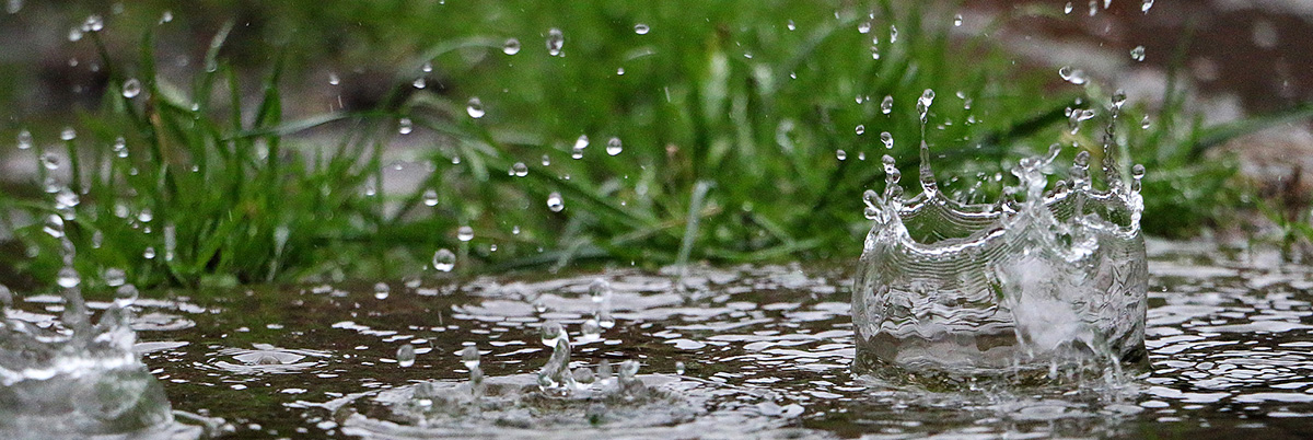 Banner image of rain falling on sidewalk and grass