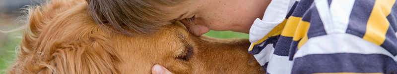 Animal Services page header
