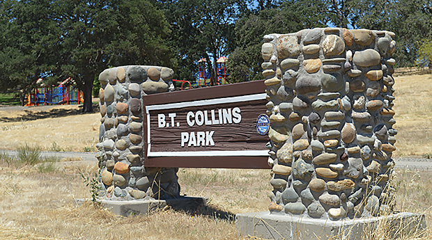 BT Collins Park 1