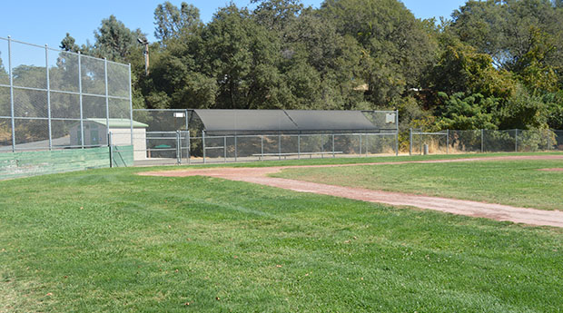 Baseball Softball Fields
